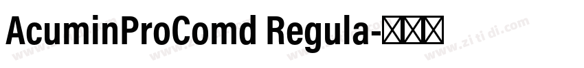 AcuminProComd Regula字体转换